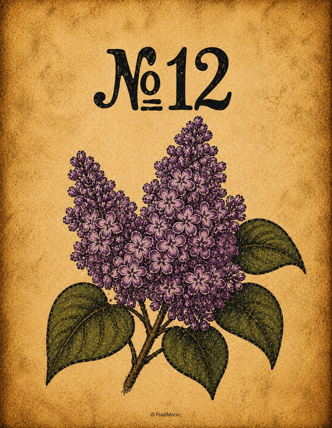 Vintage Botanical Art Print No. 12 — Lilac