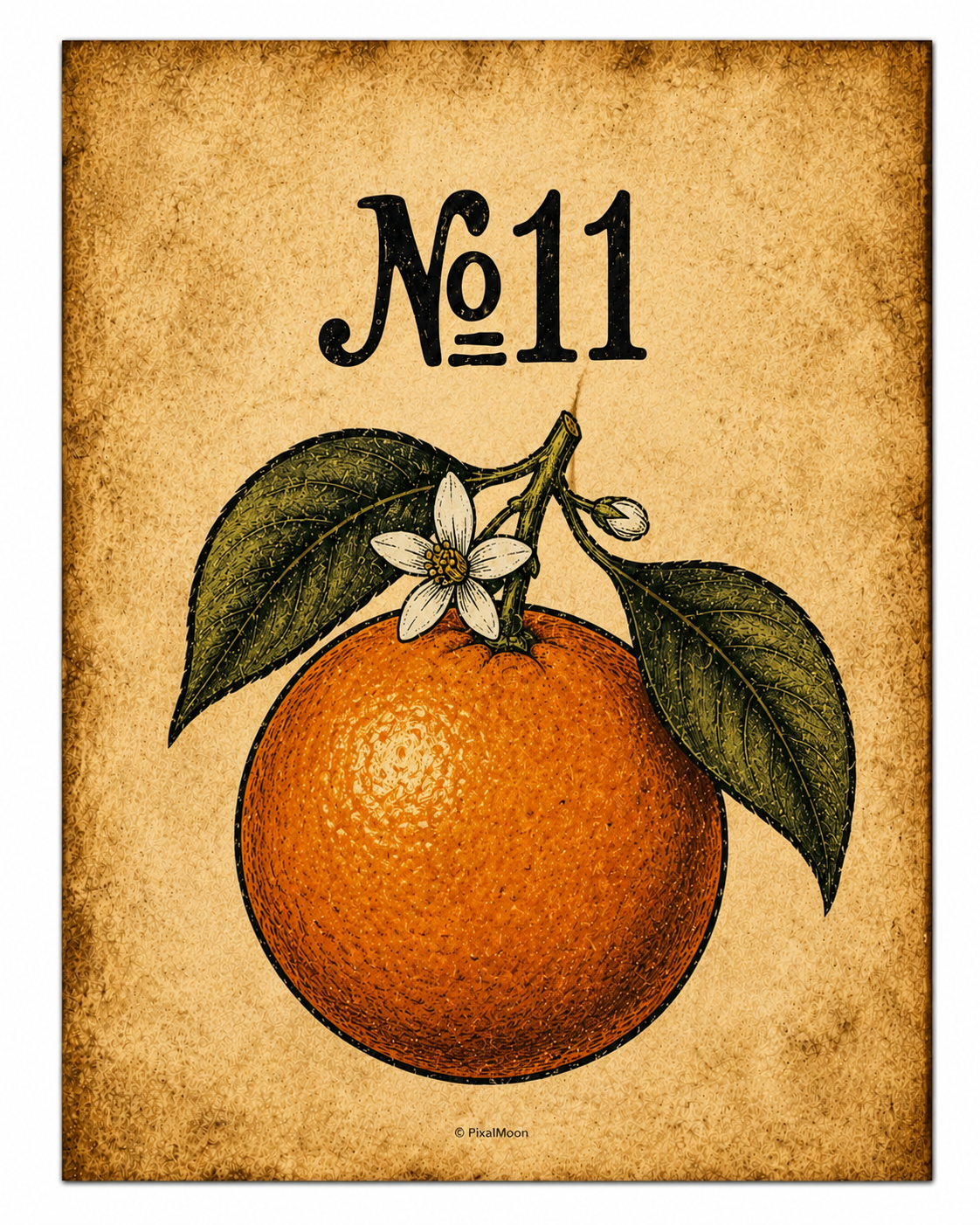Vintage Botanical Art Print No. 11 — Orange