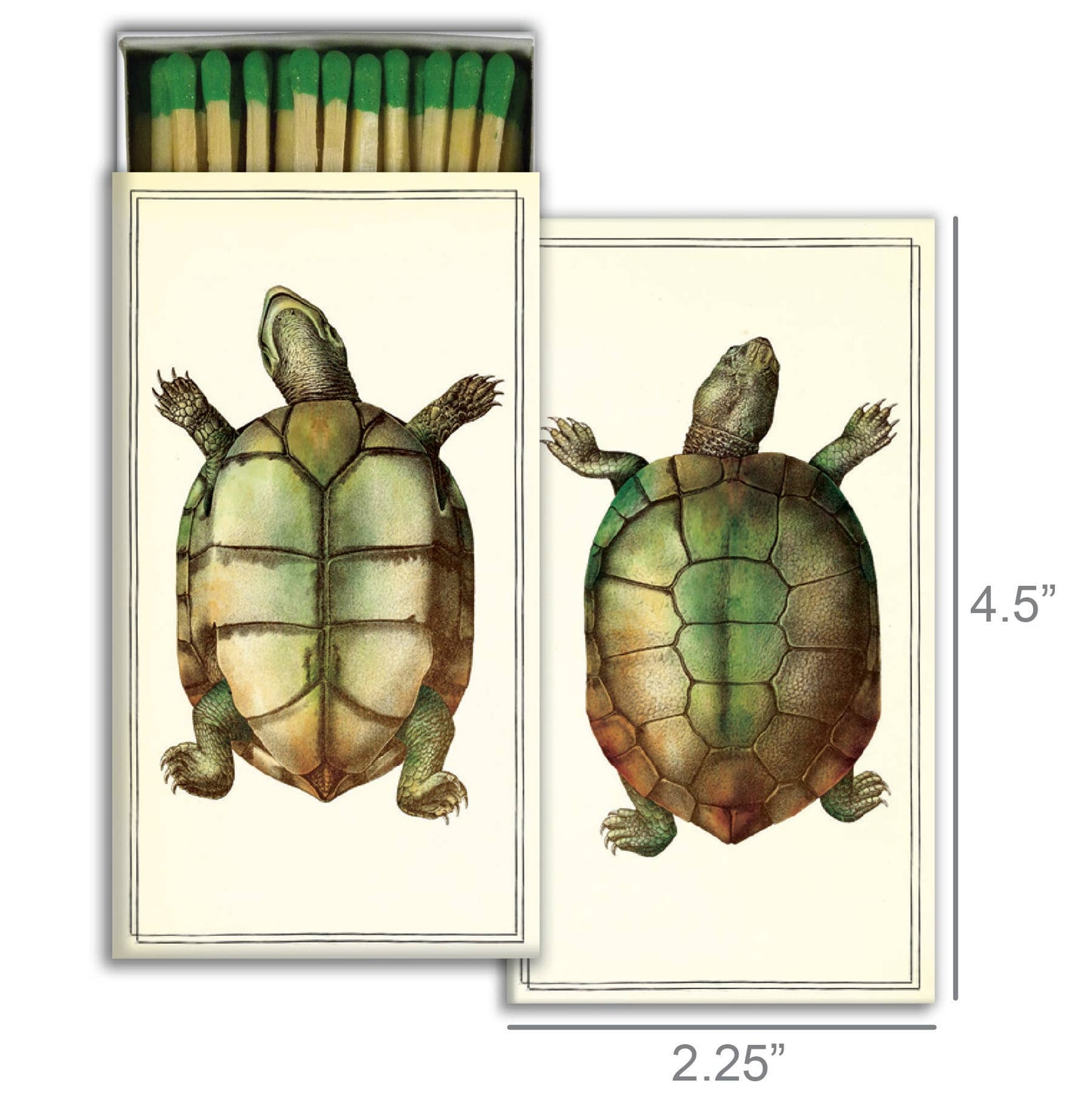 Matches - Turtles