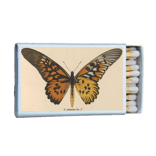 Matches • Butterfly Antimachus • Home Decor for Candles