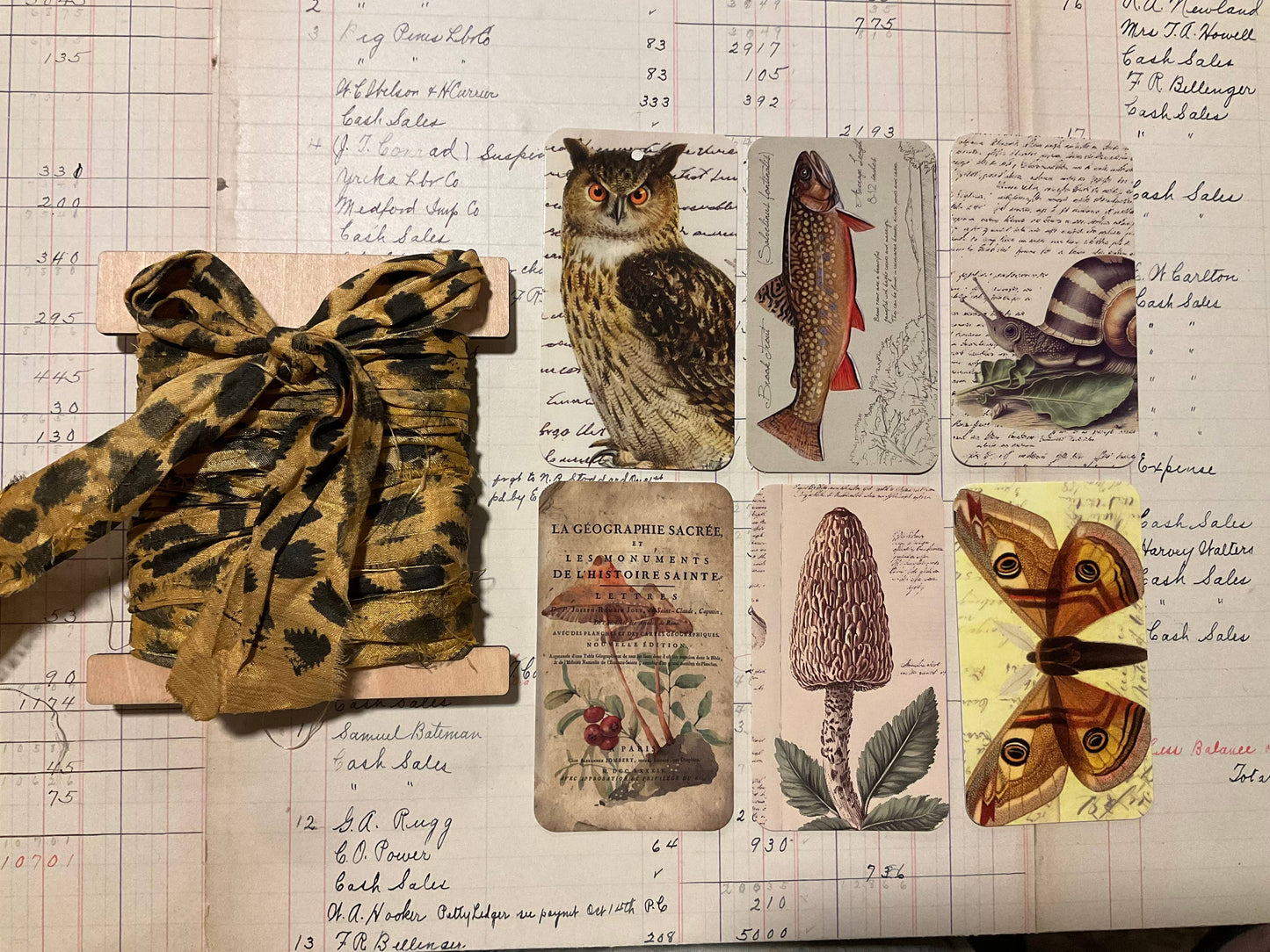 Gift Wrap Set - Gold Leopard Owl