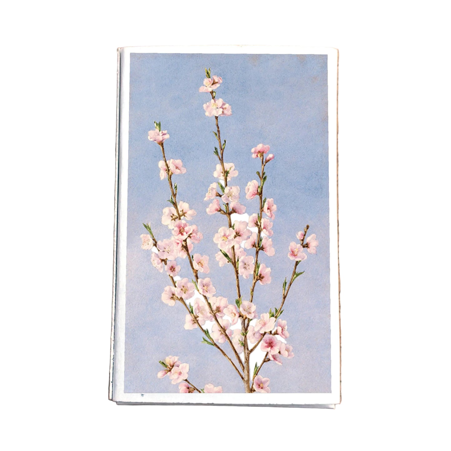 Matches • Peach Blossom Flowers • Home Decor for Candles