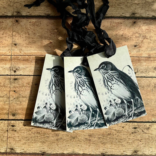 Beautiful Gift Tags Blk White Bird - SINGLE or pkg/3 - EPOQUE