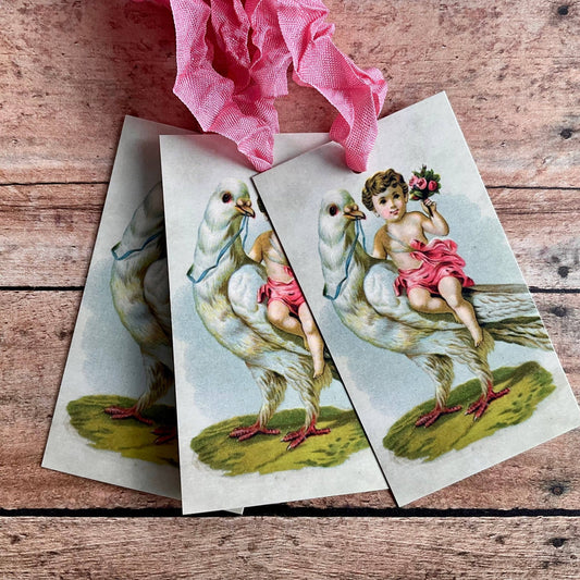 Beautiful Gift Tags DOVE - Pkg/3 - EPOQUE