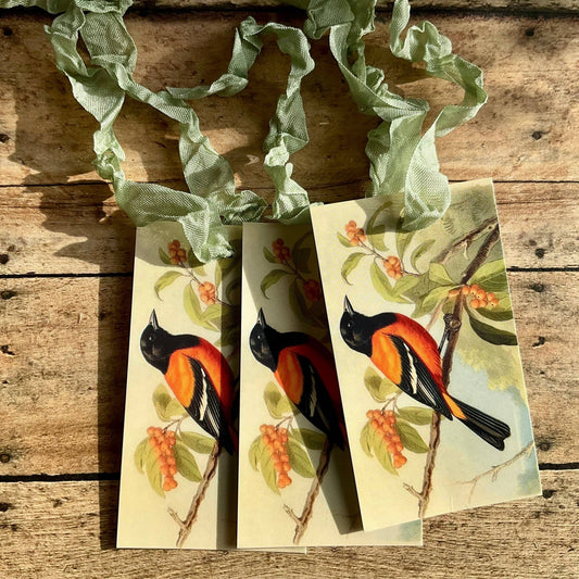 Beautiful Gift Tags ORIOLE pkg/3 - EPOQUE