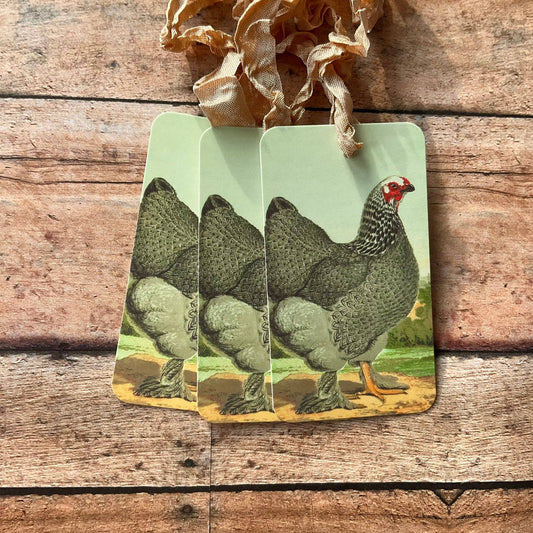 Beautiful Gift Tags PLYMOUTH - 3  - EPOQUE