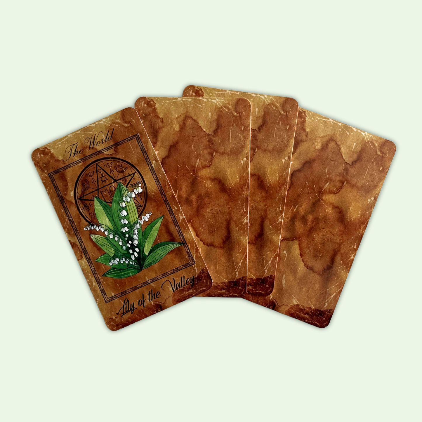 The Enchanted Flowers Tarot & Guide by Vera Petruk