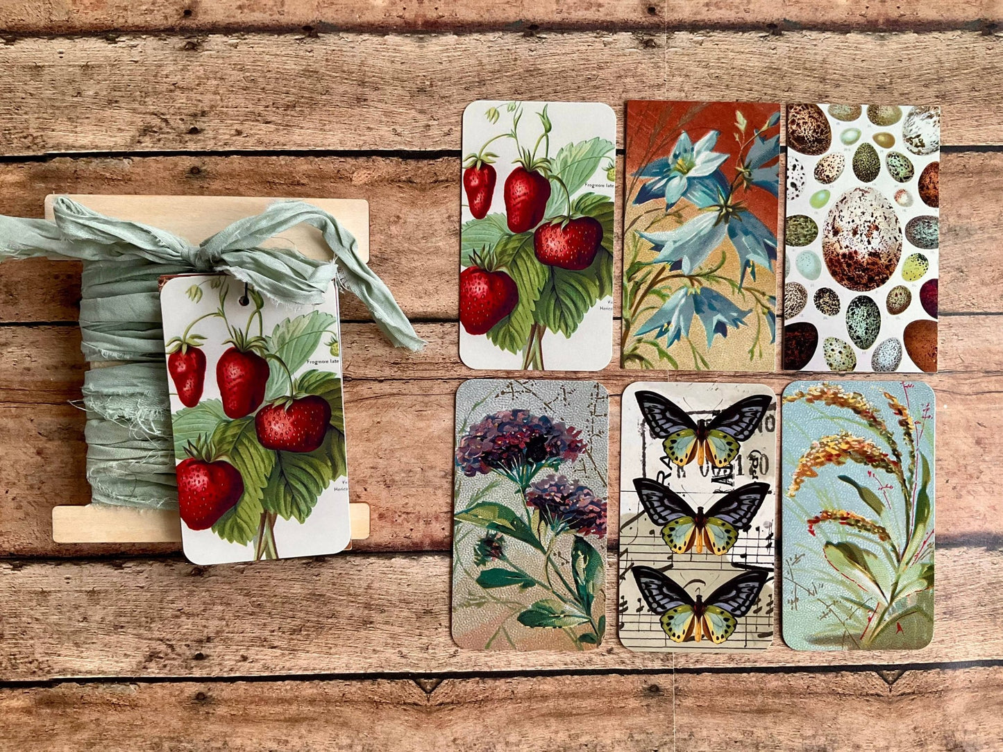 Gift Wrap Set - Seafoam Strawberry - EPOQUE