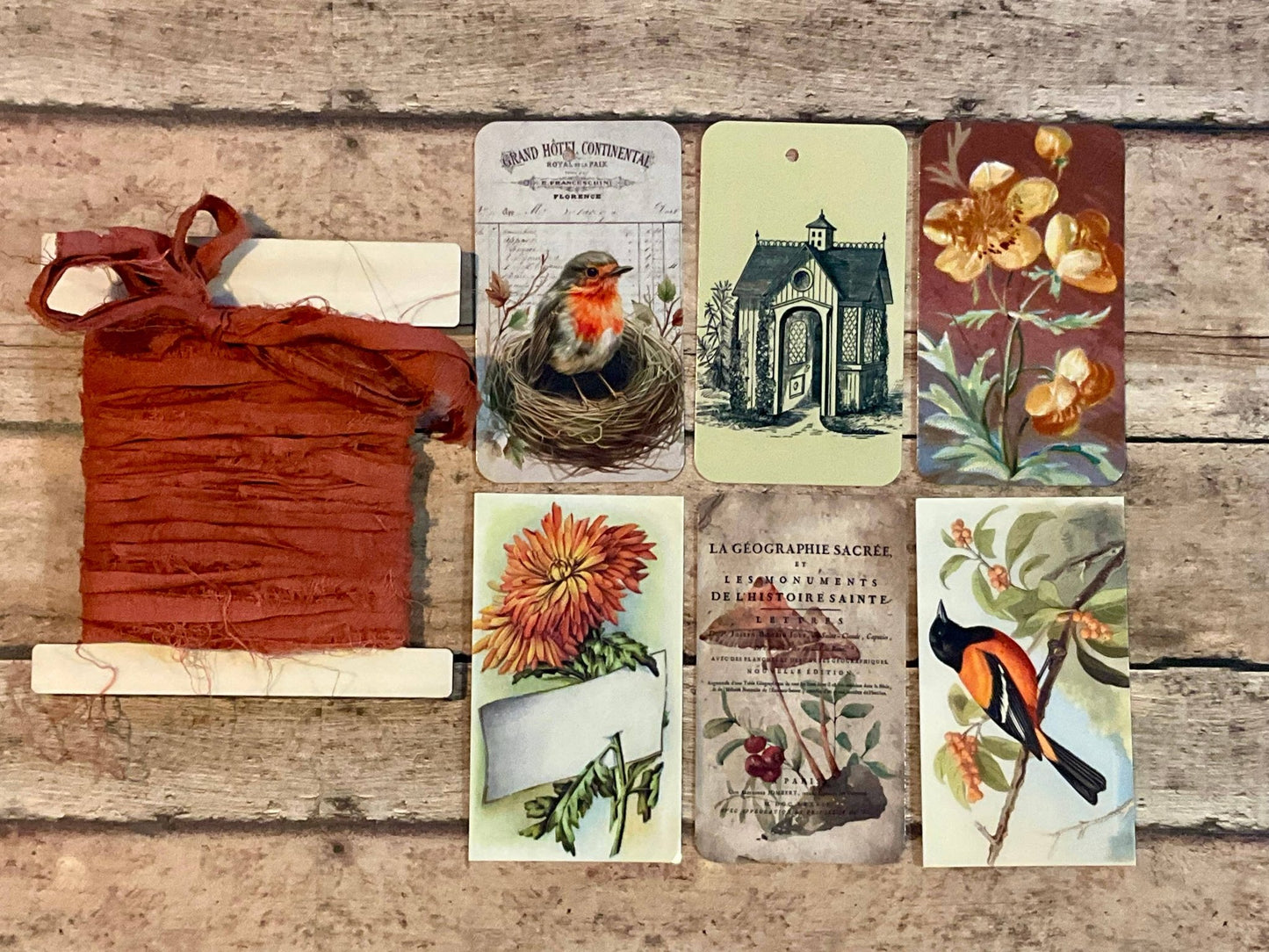 Gift Wrap Set - SPICE Bird in Nest - EPOQUE
