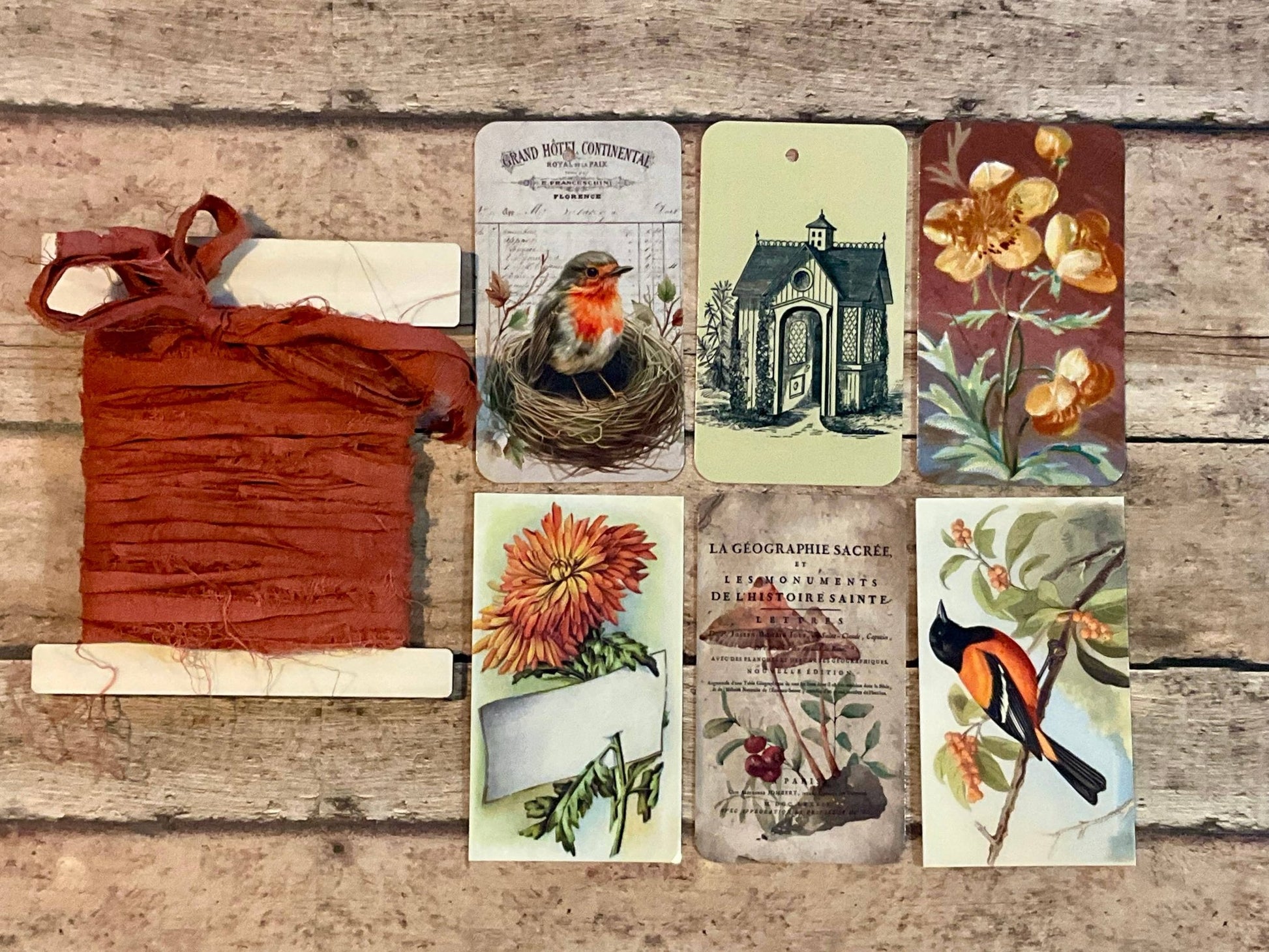 Gift Wrap Set - SPICE Bird in Nest - EPOQUE