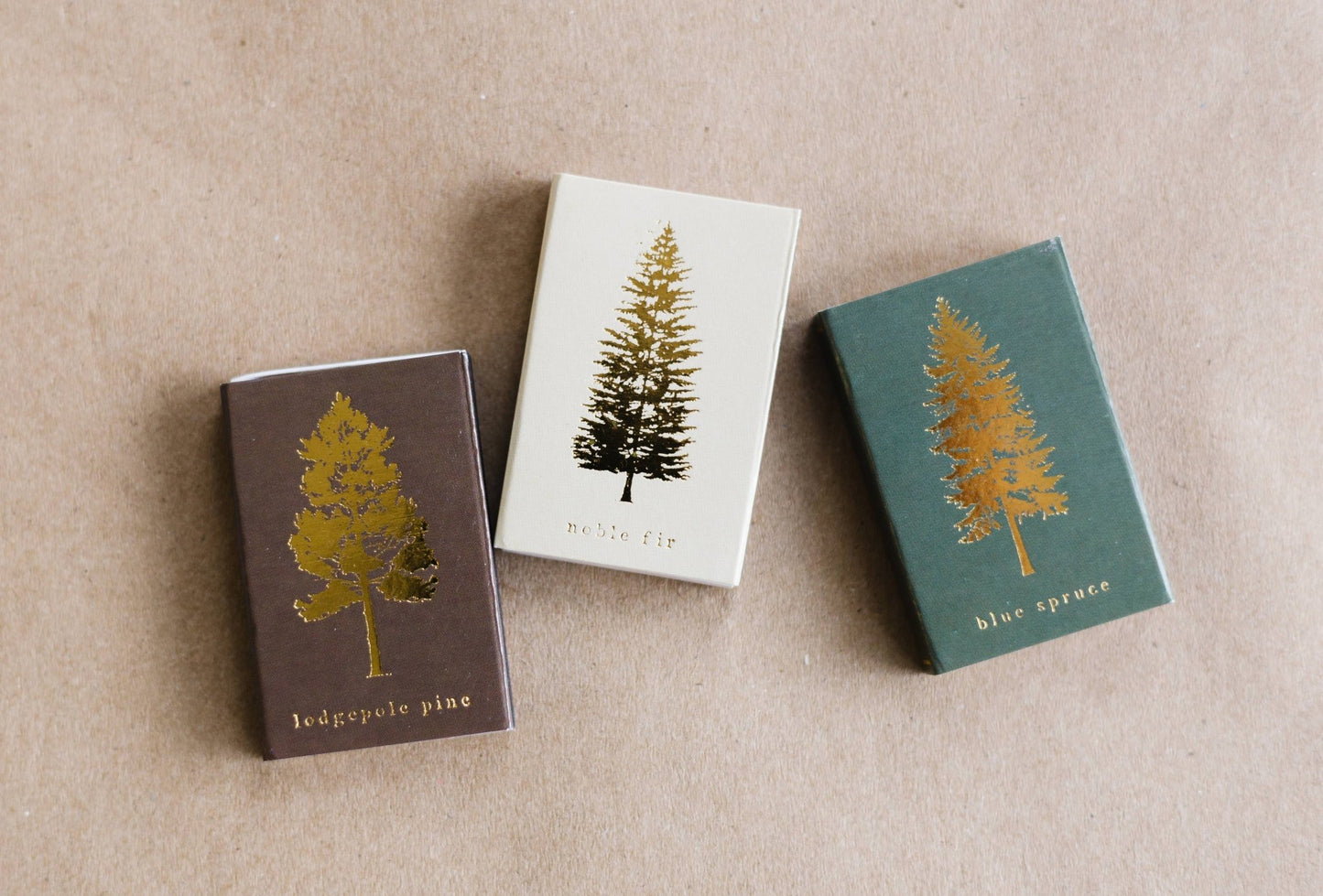 Lodgepole Pine Tree Matchbox | Tall Evergreen Matches - EPOQUE