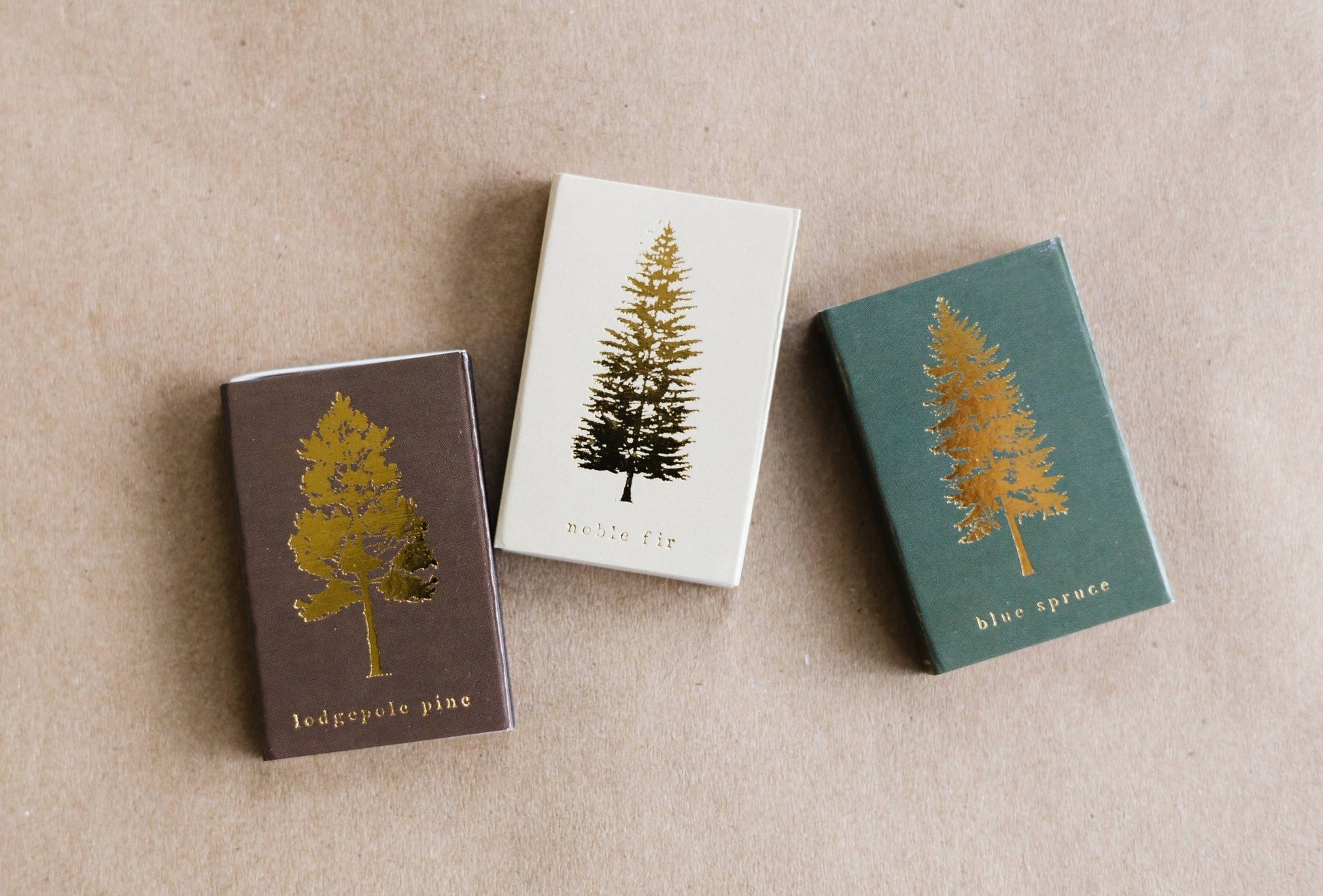 Lodgepole Pine Tree Matchbox | Tall Evergreen Matches - EPOQUE