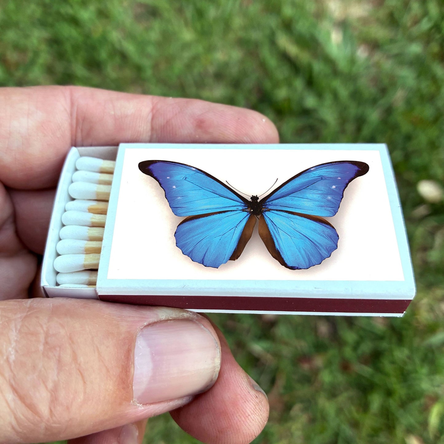 Matches • Blue Morpho Butterfly • Home Decor for Candles - EPOQUE