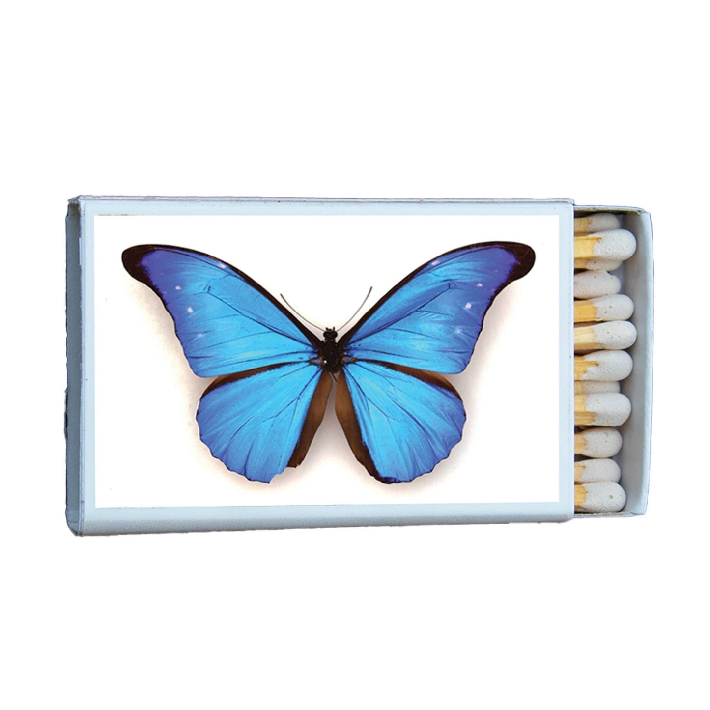 Matches • Blue Morpho Butterfly • Home Decor for Candles - EPOQUE