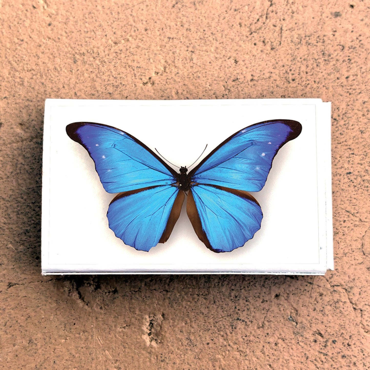 Matches • Blue Morpho Butterfly • Home Decor for Candles - EPOQUE