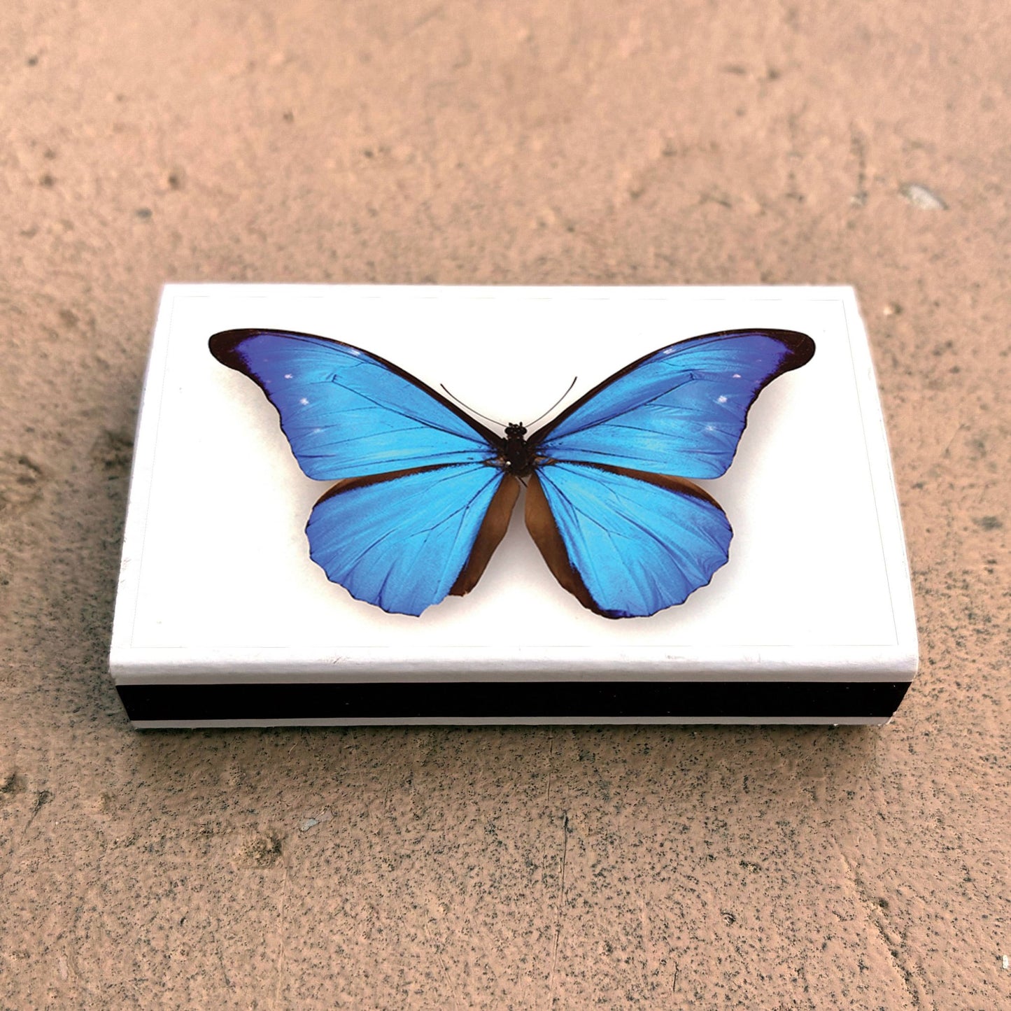 Matches • Blue Morpho Butterfly • Home Decor for Candles - EPOQUE