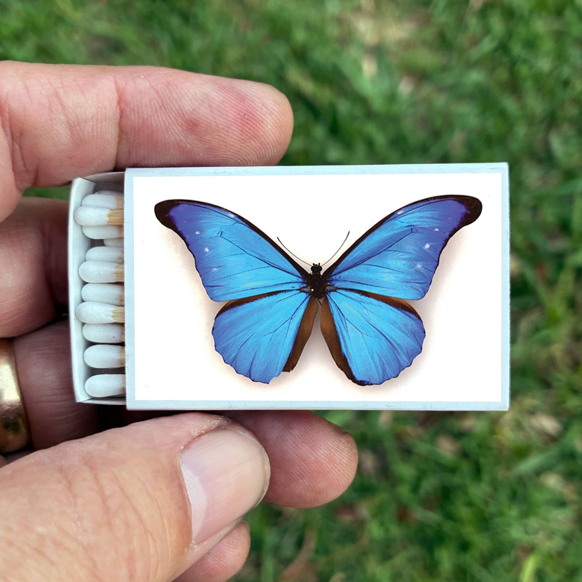 Matches • Blue Morpho Butterfly • Home Decor for Candles - EPOQUE