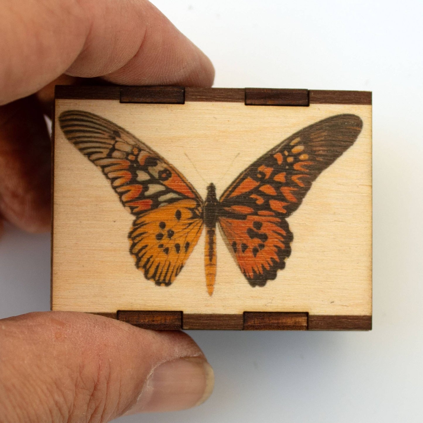 Matches • Butterfly Antimachus Wooden Matchboxes •Home Decor - EPOQUE