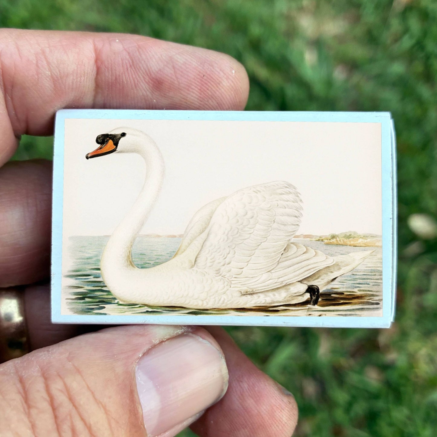Matches • Swan Matchboxes • Home Decor for Candles & Incense - EPOQUE