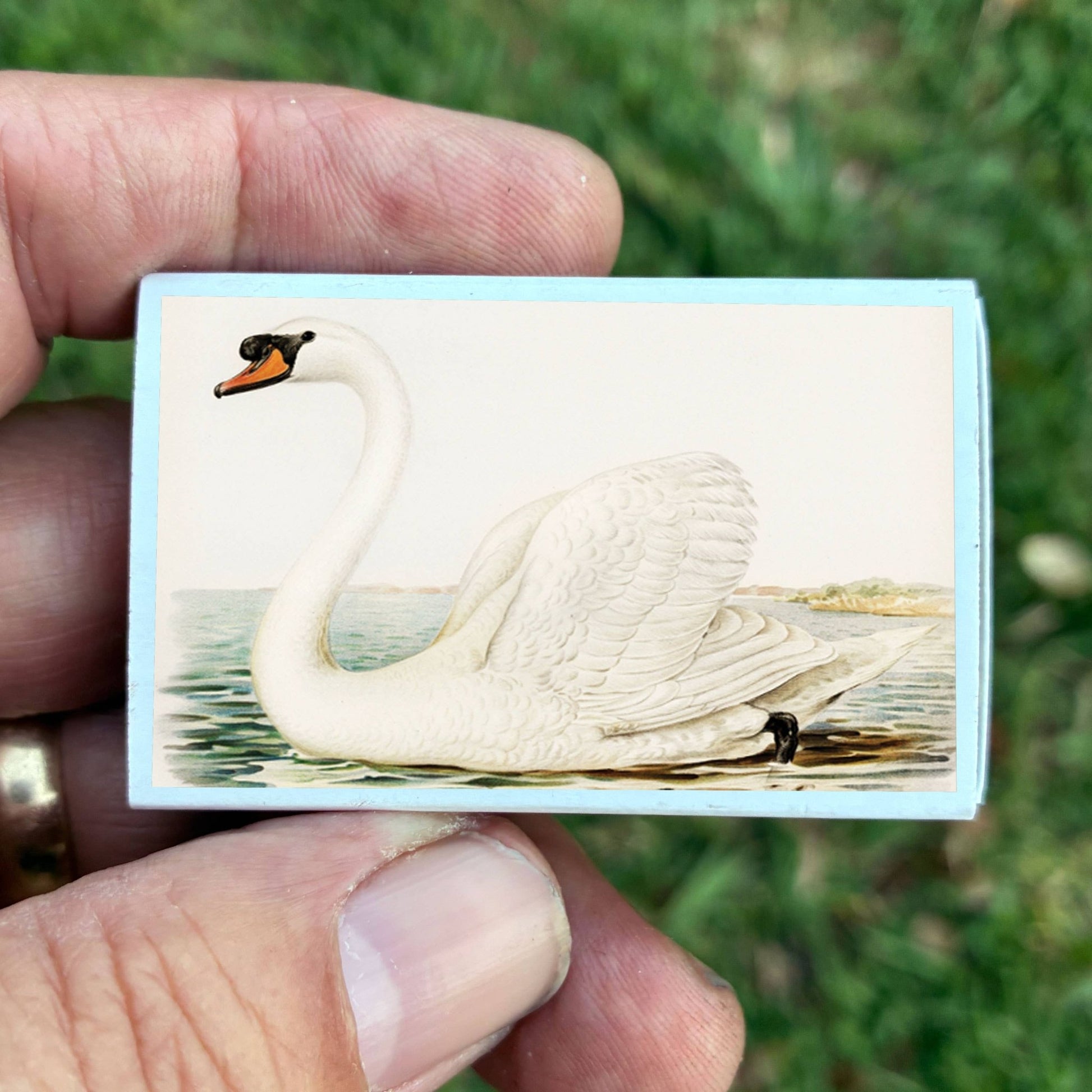 Matches • Swan Matchboxes • Home Decor for Candles & Incense - EPOQUE