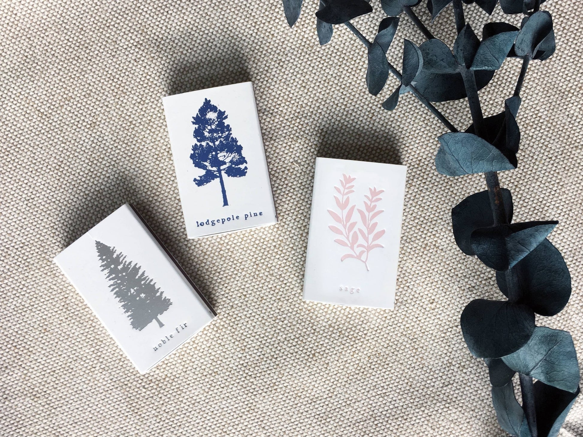 Sage Matchbox | Embossed Botanical Match Holder - EPOQUE