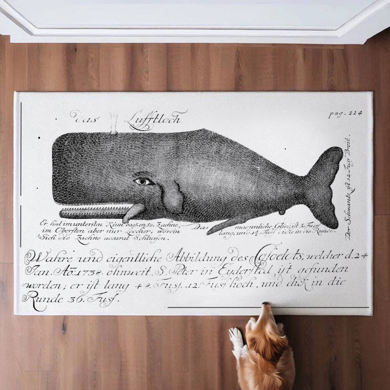 Screen Printed "The Whale" Canvas Floor Cloth - EPOQUE
