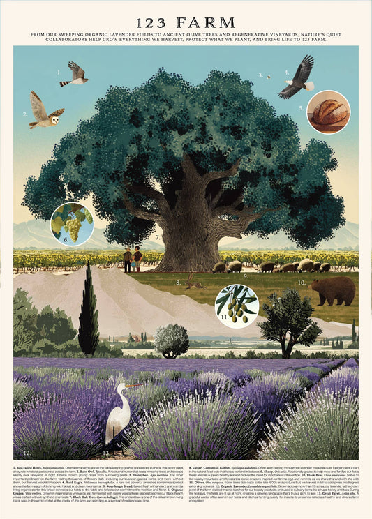 Vintage Posters Wrapping Paper - 123 Farm - EPOQUE
